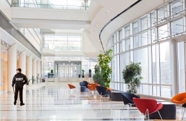 Home seguridad intramuros